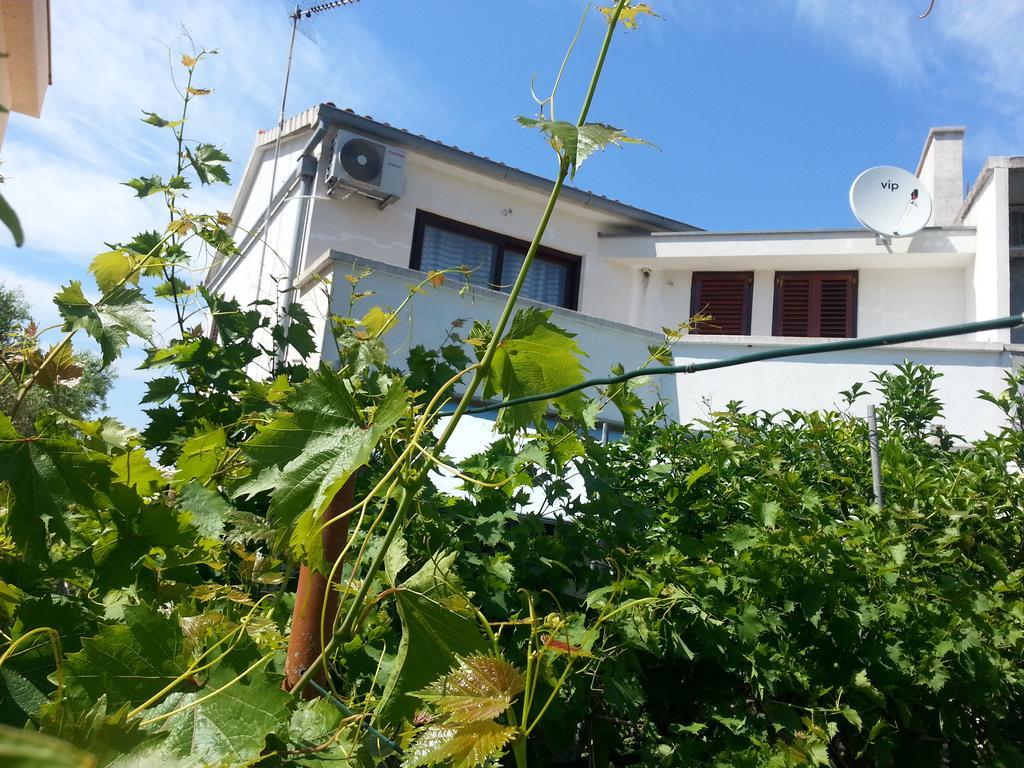 Apartments Maslina בוזאבה חדר תמונה