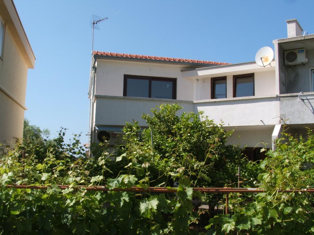 Apartments Maslina בוזאבה חדר תמונה